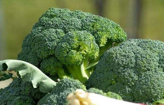 Broccoli | Broccoli | 2020 Vegan Superfoods Trends to Boost Your Diet